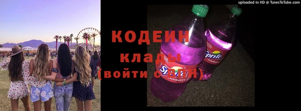 стаф Нея