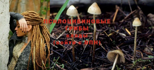 стаф Нея