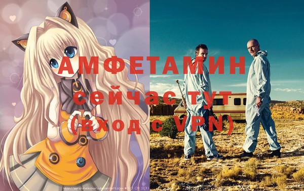 стаф Нея
