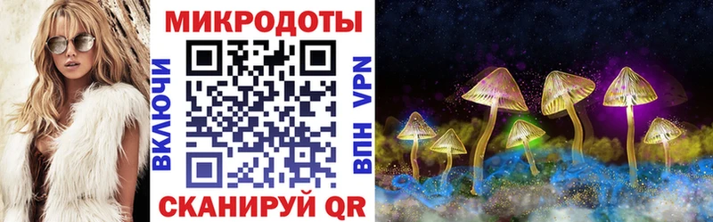Псилоцибиновые грибы GOLDEN TEACHER купить наркотик Опочка